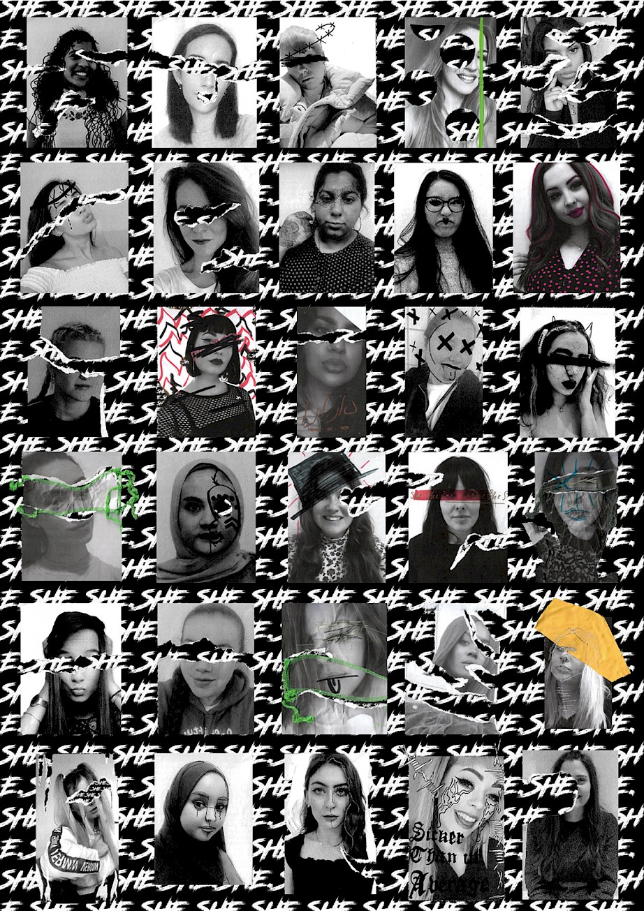 Profiles of the SHE. cohort.